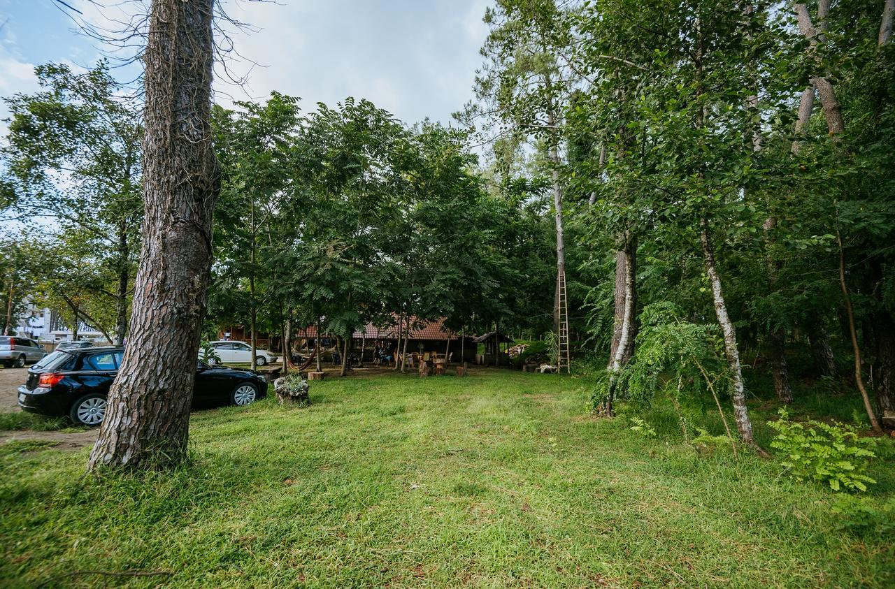 Hotel Forest Fairy Shekhvetili Εξωτερικό φωτογραφία